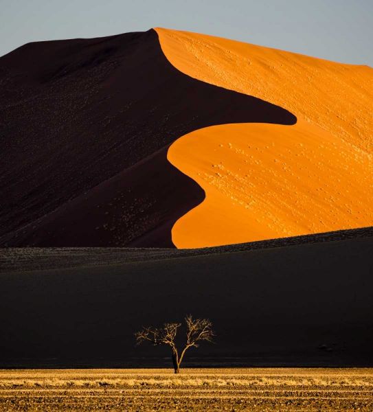 Namibia, Namib-Naukluft NP Abstract of sand dune